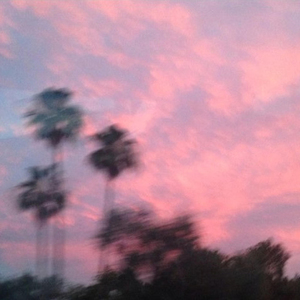 马驴猪与美女交配
