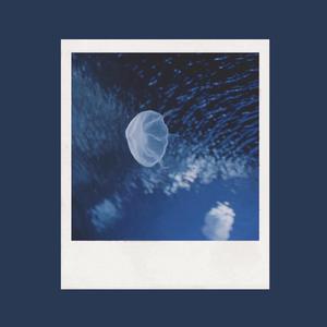 马驴猪与美女交配
